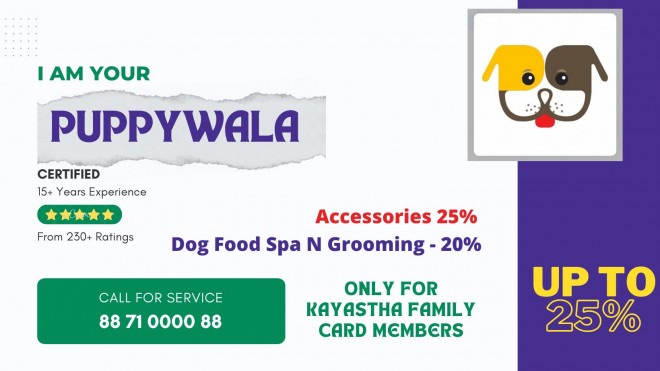 PuppyWala  पर दिया जा रहा है up to 25% तक का डिस्काउंट 